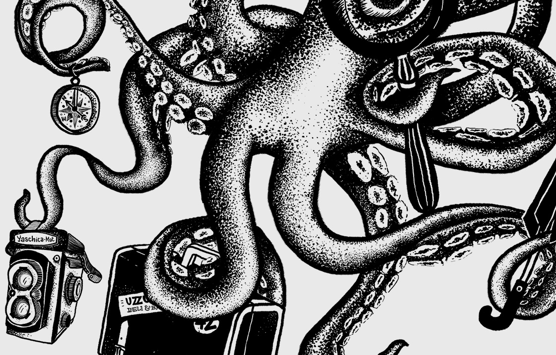 Octopus-close-up