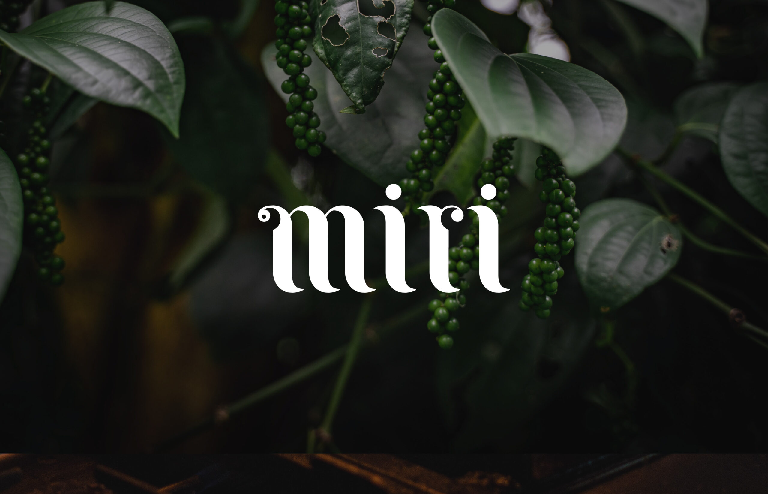 Miri Website Assets_2 Miri Website Assets_2