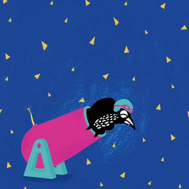 LAUNCH LAUNCH