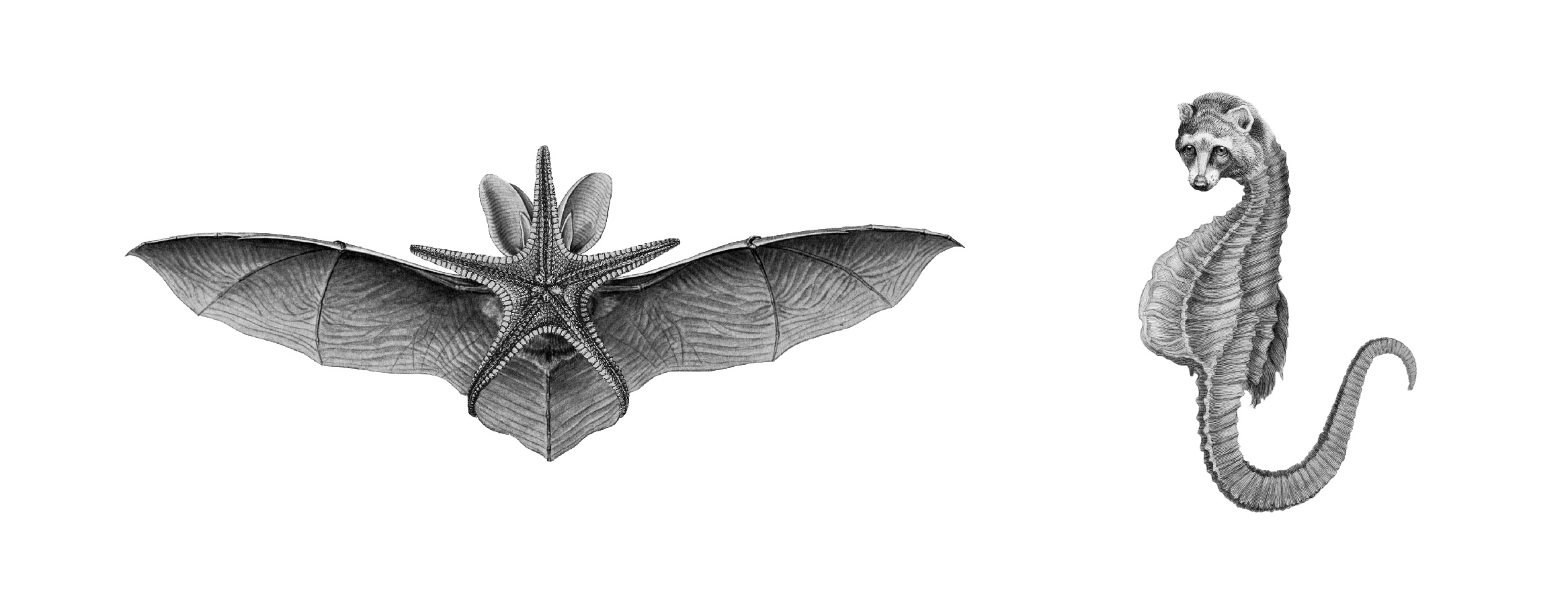 ThreeFalcons_StudioWebsite_FINAL-06 ThreeFalcons_StudioWebsite_FINAL-06