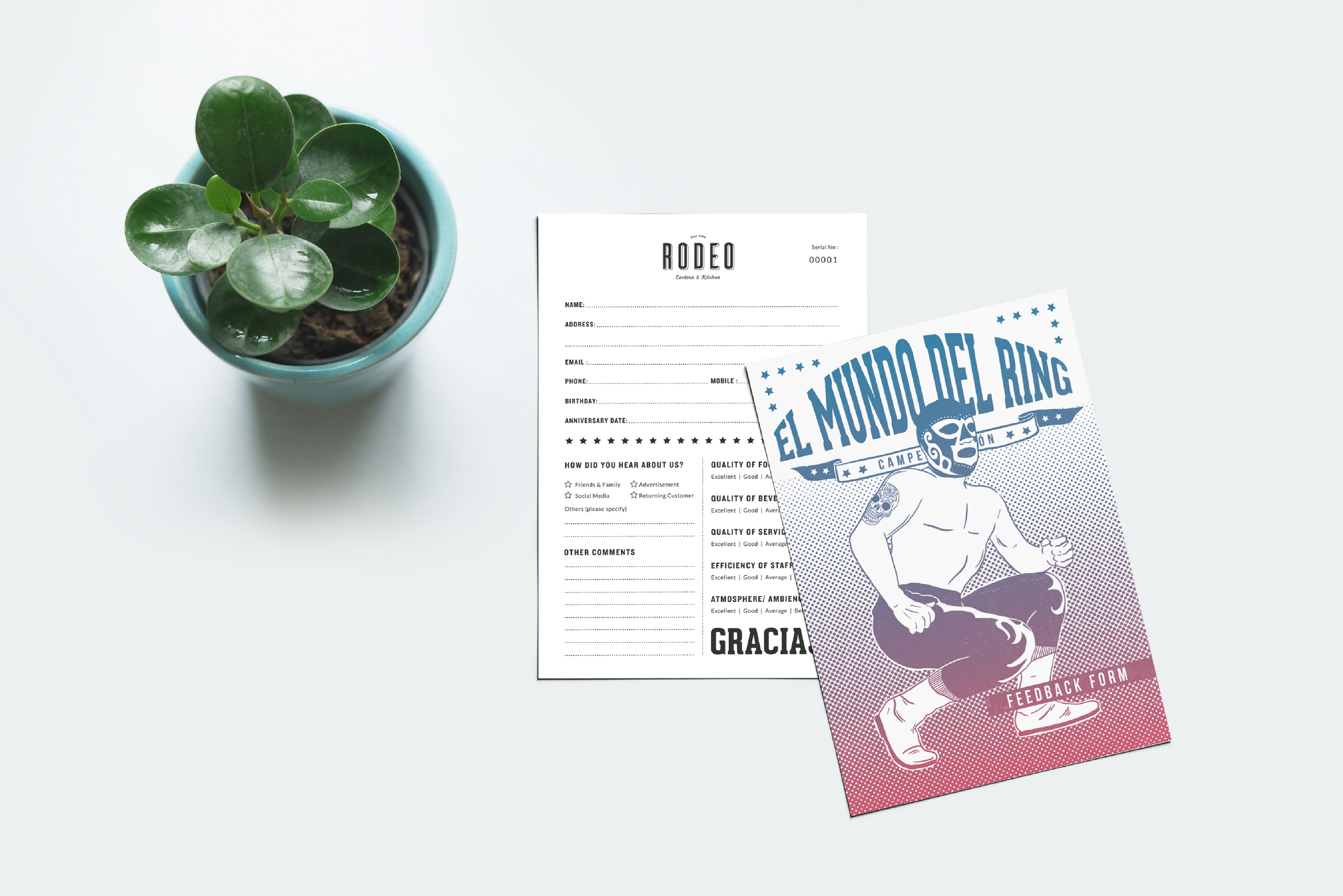 rodeo-feedback-form